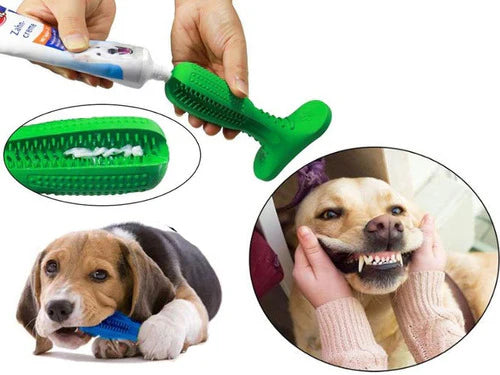 DentalBuddy™ I Cepillo de Dientes Antisarro para Perros