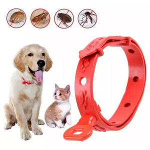 PetShield™ I Collar Antipulgas y Garrapatas