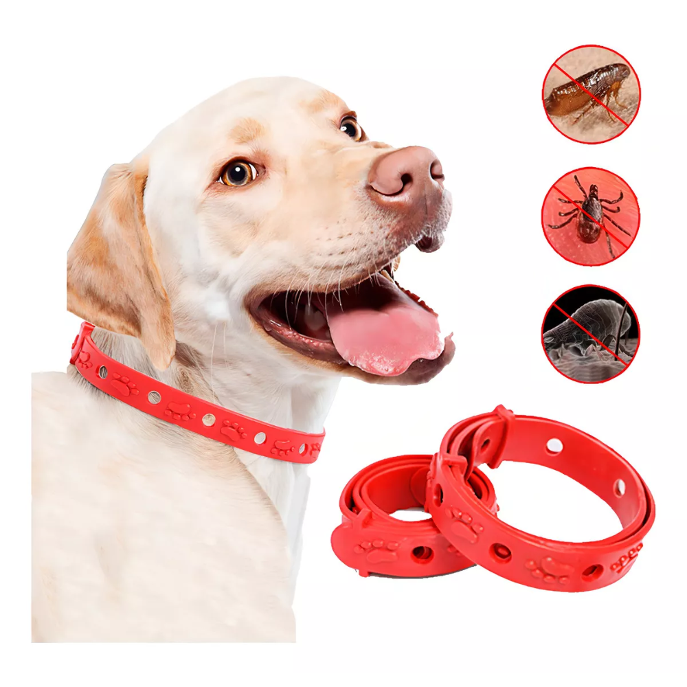 PetShield™ I Collar Antipulgas y Garrapatas