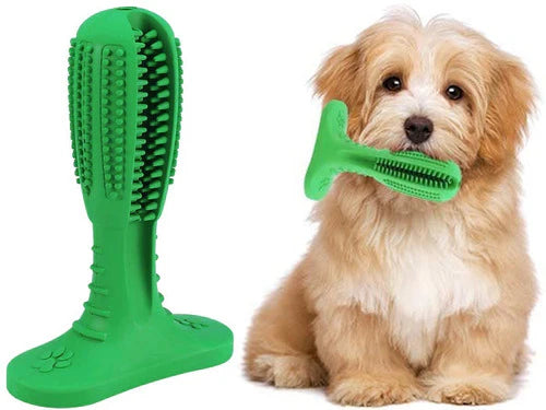 DentalBuddy™ I Cepillo de Dientes Antisarro para Perros